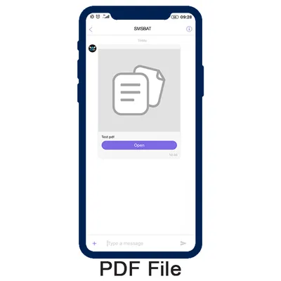 PDF Document