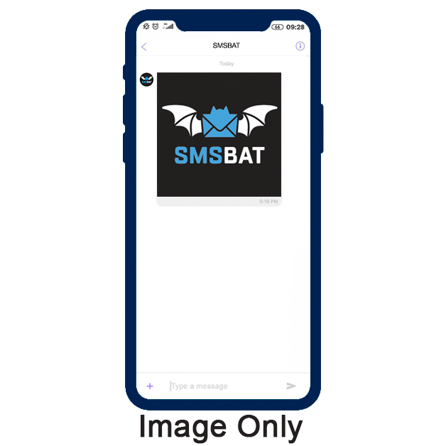 Image Only