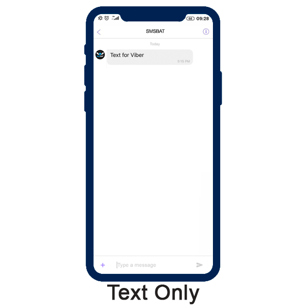 Text Only